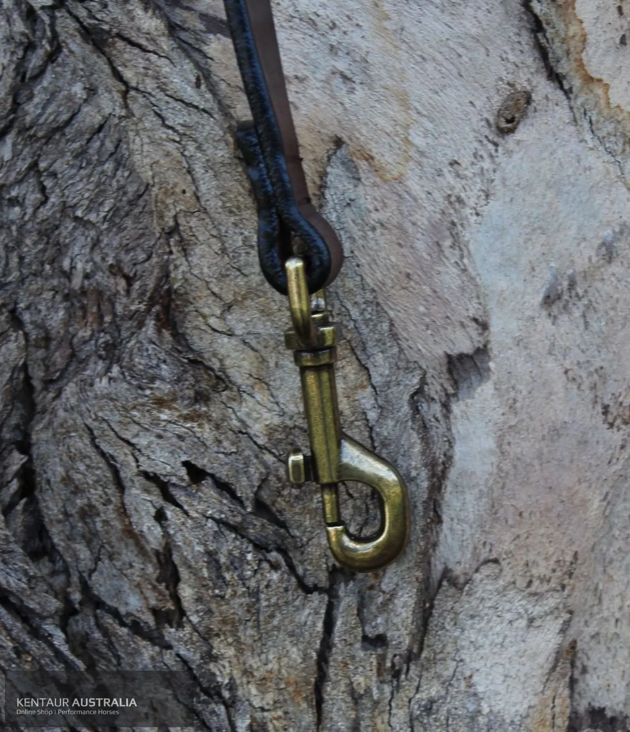 Pampeano 'Paramo' Dog Lead